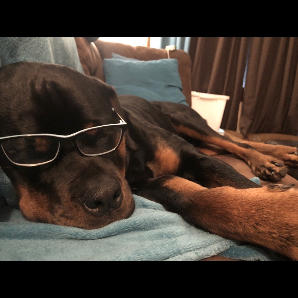 Meet your Posher, Torey